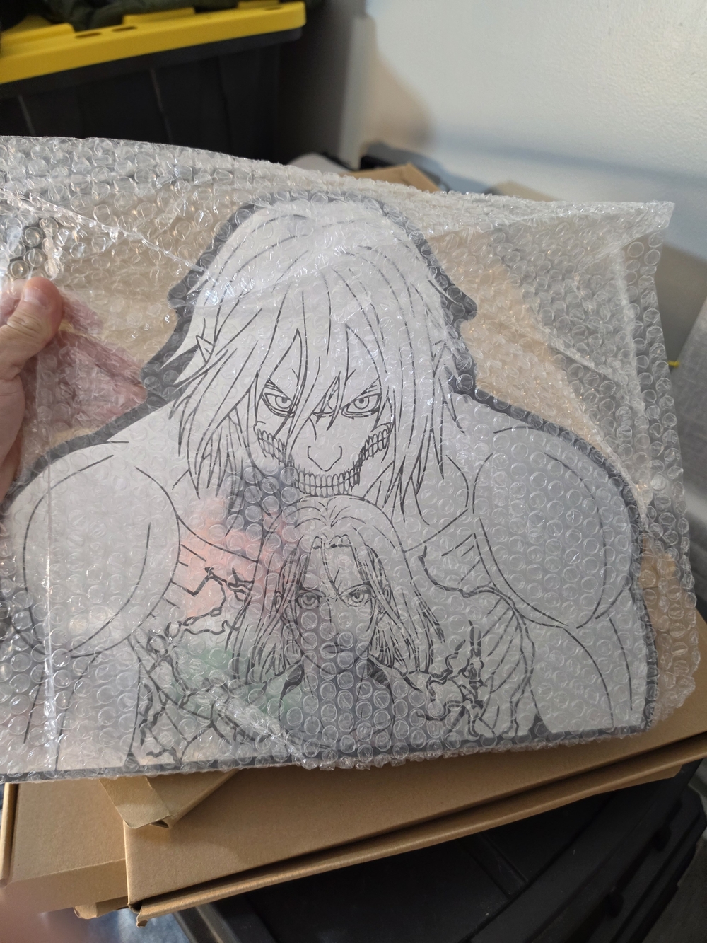 Attack On Titans Mirror